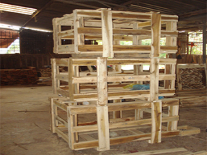 Pallet Gỗ Xuất Khẩu