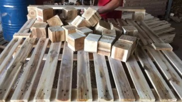Cục gù gỗ thông – Chân pallet nhẹ, bền, thẩm mỹ, tối ưu chi phí